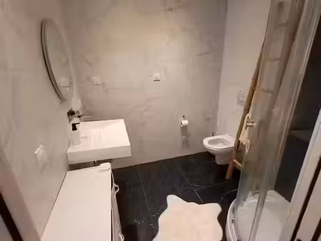 location meublée appartement 1 pièce 23 m² à lille (59000)  660 €