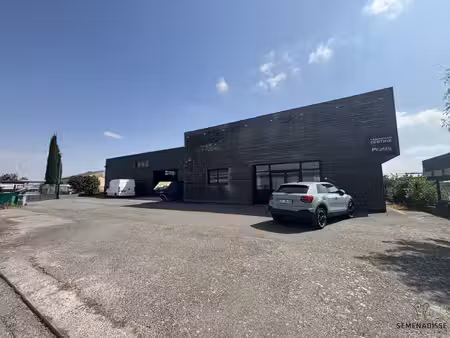 immobilier professionnel à louer seysses