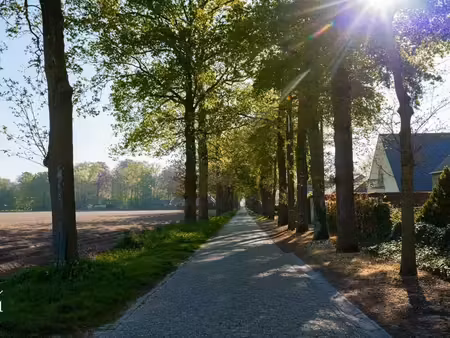 maison à vendre à ronsele € 749.000 (lqse1) - irres bvba | zimmo