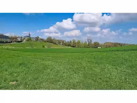 magnifique terrain avec nombreuses possibilités