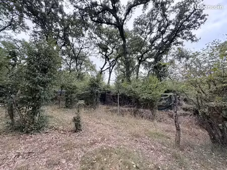 3 hectare bois à palombiere