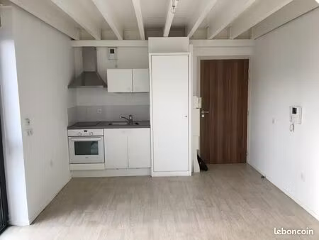 duplex 1 pièce 33 m²