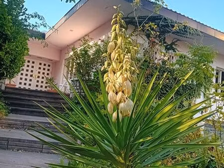 chambre à louer dans une villa centre-ville d'annemasse