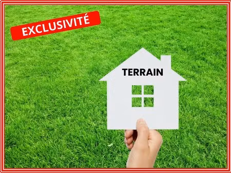 terrain