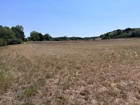 grand terrain à viabiliser de 11 010 m² à saint nauphary