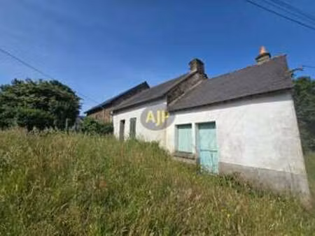 vente maison à guémené-penfao (44290) : à vendre / 40m² guémené-penfao