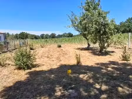 vente terrain à sainte-foy (85150) : à vendre / 682m² sainte-foy