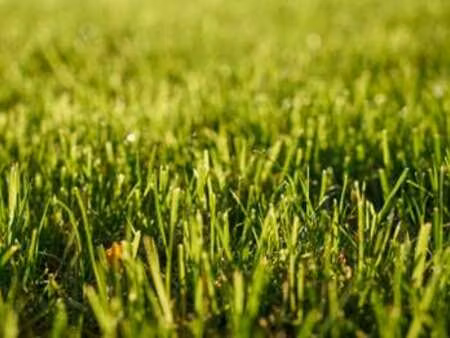 vente terrain à plouguenast (22150) : à vendre / plouguenast