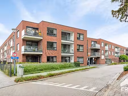 appartement à louer à meeuwen € 1.250 (lqsit) - era impact (bree) | zimmo