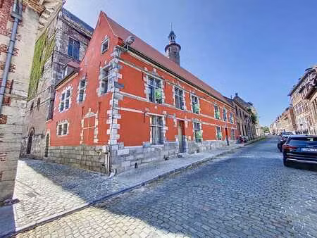 superbe appartement 1 chambre en duplex avec terrasse ! libr