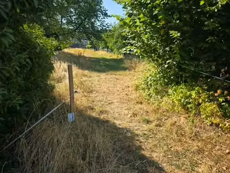 exceptionnel terrain à lotir de 7000 m² au coeur de kain