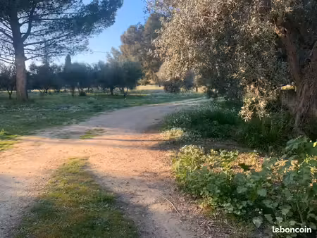 terrain 664 m² saint chamas