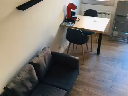 duplex meublé - 2 pièces - 20m² - disponible mi août