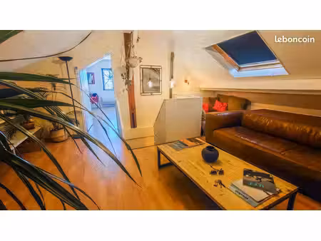 location étudiante - loft lumineux mansardé