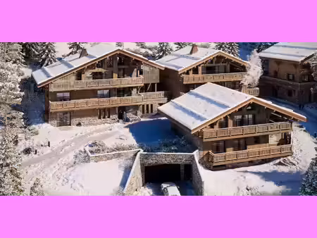 chalet avec vue panoramique et terrasse chatel (74)