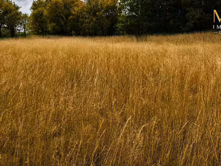 terrain à bâtir de 1 950 m² – lalbenque