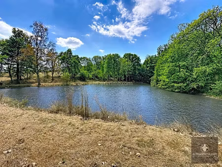 vente terrain 6000 m2 à saint-martin-d'estréaux