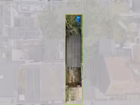 terrain