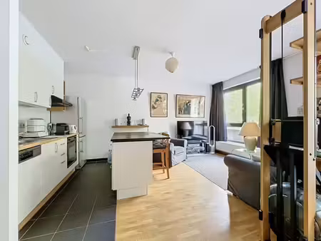etang d'ixelles : beau studio meublé