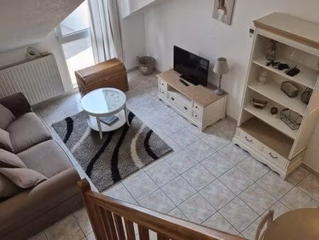appartement meublé 39 m2 f1 bis