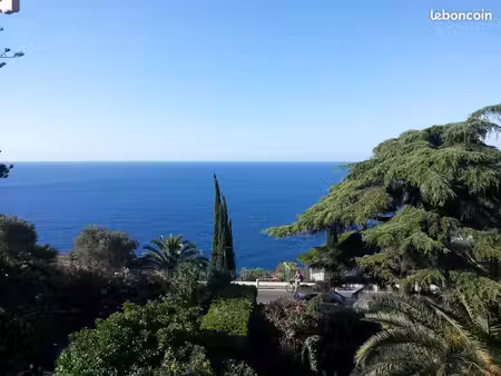 apartment duplex exclusive cap de nice