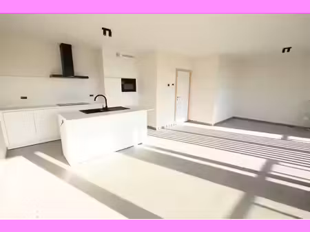appartement à louer à hille 202 zwevezele (rbw62248)