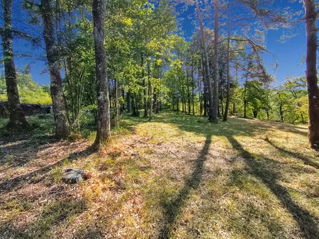 magnifique terrain de loisir de 5660 m² 21510 rochefort-sur-brévon