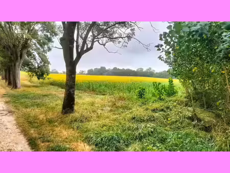 terrain à vendre