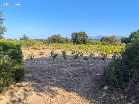 terrain de loisirs proche baho / st esteve