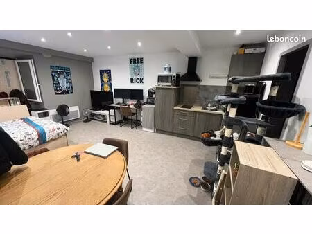 studio 35 m2 plein centre