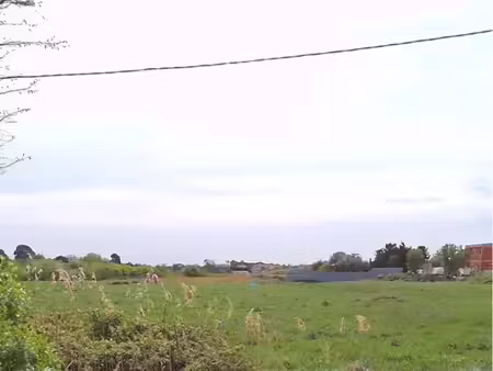 à louer terrain agricole de 23500 m² situé au grau-d’agde