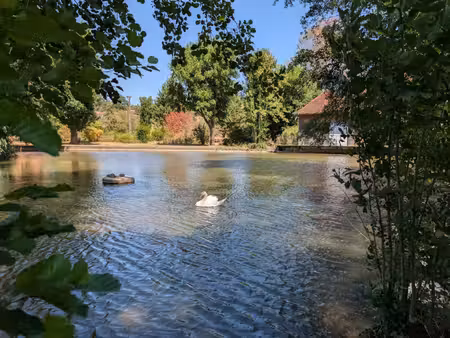 ancien moulin avec parc  étang et piscine