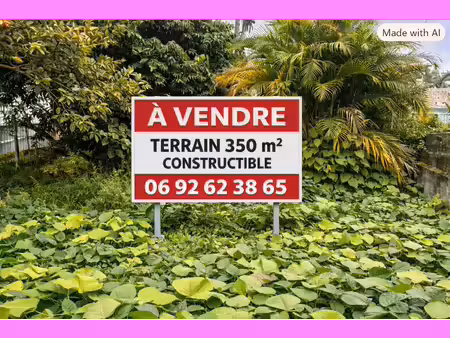 terrain à vendre le tampon