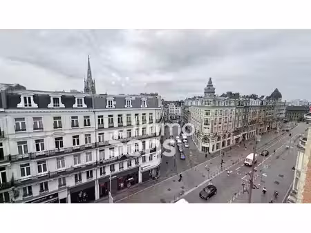 location locaux professionnels 0 pièces 49.5 m² à lille (59000)  1 167 €