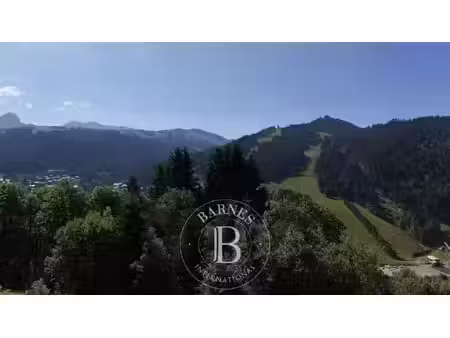 terrain les gets - 3212m²