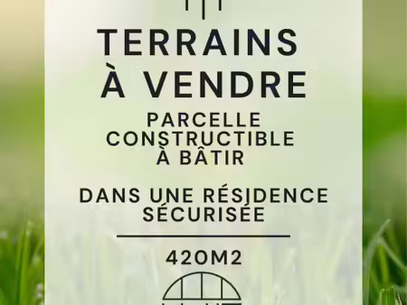 terrain