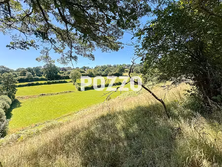 terrain agricole villedieu les poeles rouffigny 14983 m2