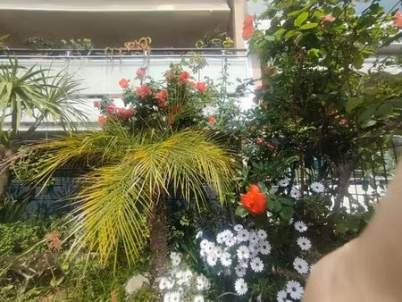rcm - studio avec grande terrasse
