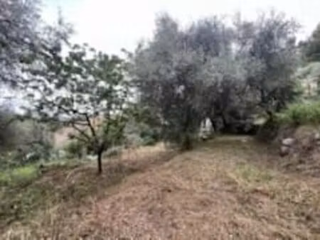 terrain constructible bendejun