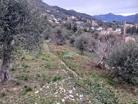 terrain a batir 1 700m - chateauneuf villevieille