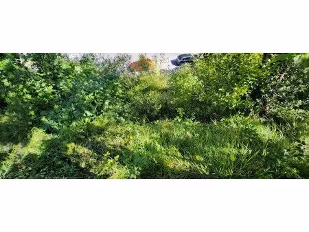 terrain constructible de 1161 m2