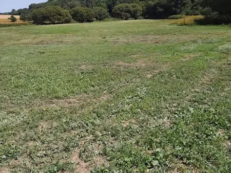 vente terrain 61200 m² à coëtlogon (22210)  34 000 €