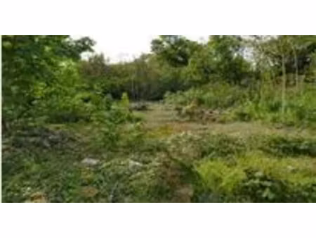 vente terrain 374 m² à lencloître (86140)  16 498 €