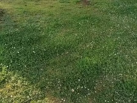 vente terrain à baud (56150) : à vendre / baud