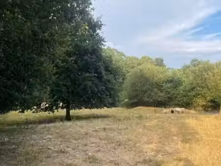 vente terrain à guipry-messac (35480) : à vendre / 8610m² guipry-messac