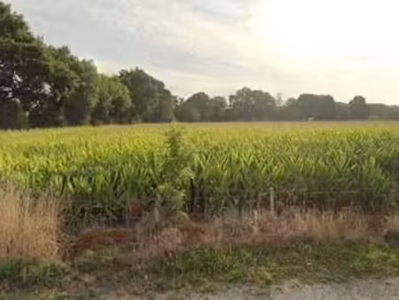 vente terrain à lanvallay (22100) : à vendre / lanvallay