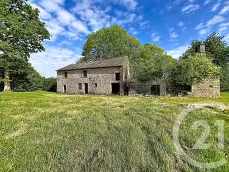 vente terrain à saint-sauveur-de-carrouges (61320) : à vendre / 5260m² saint-sauveur-de-ca