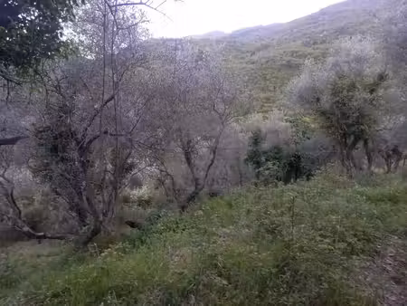 grand terrain d'agrément