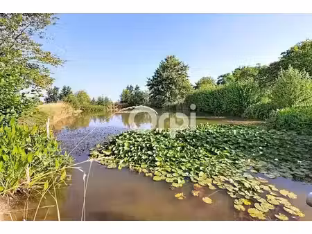 vente maison 5 pièces 164 m² à killem (59122)  273 000 €