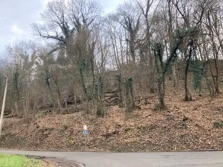 terrain à vendre à rue lonhienne forêt (vbe53053)